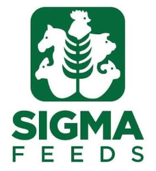 PPE supplier trusted client Kenya