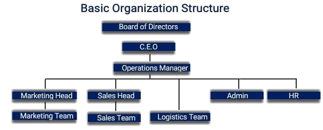 Izraeli Agency Ltd - Leading PPE and safety equipment supplier in Kenya